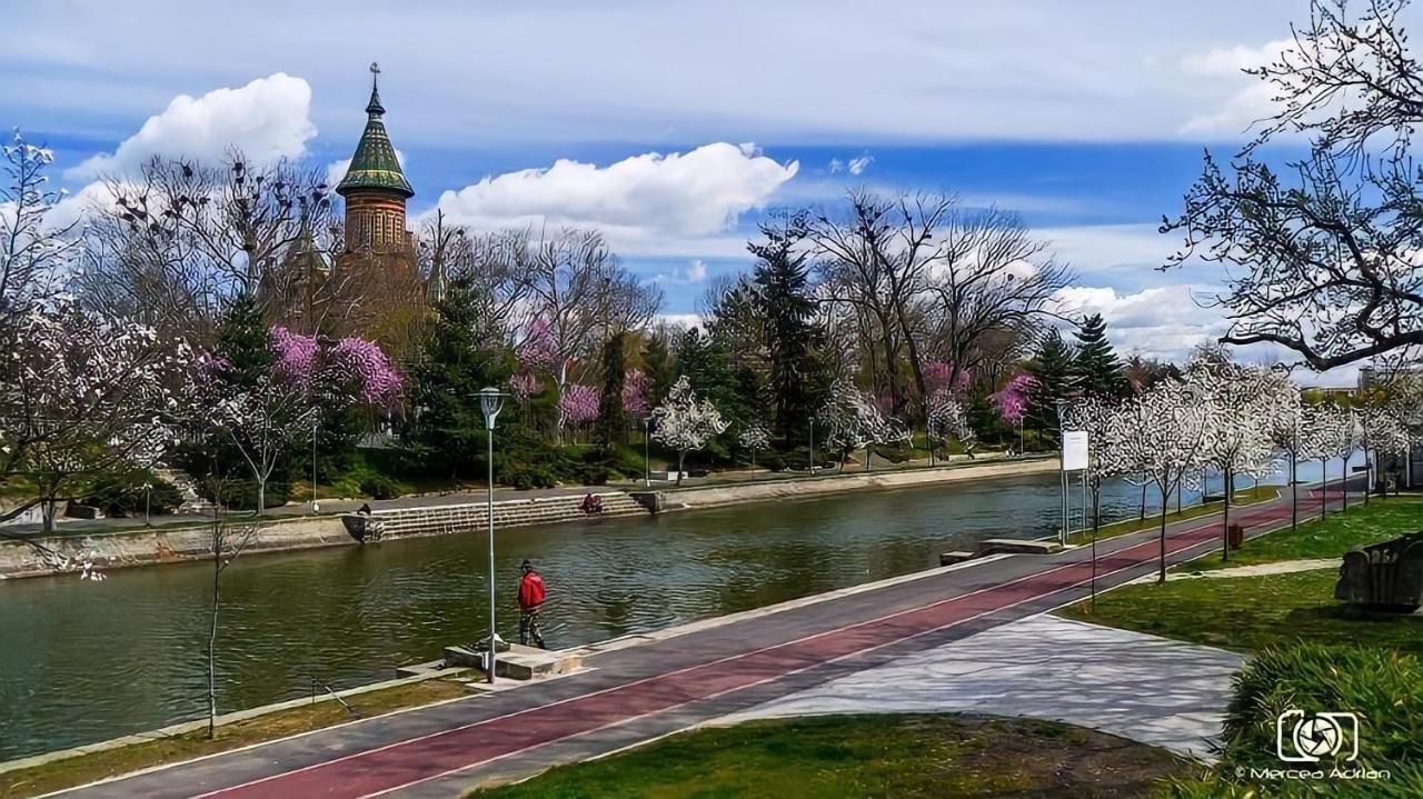 Belle Vue Ultracentral Apartments Тімішоара Екстер'єр фото